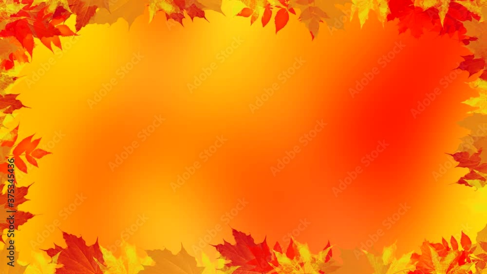 Autumn background with yellow leaves around the edges of the frame Autumn background with yellow leaves around the edges of the frame