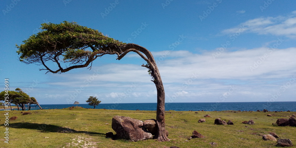 Fototapeta premium Vent à l'horizon