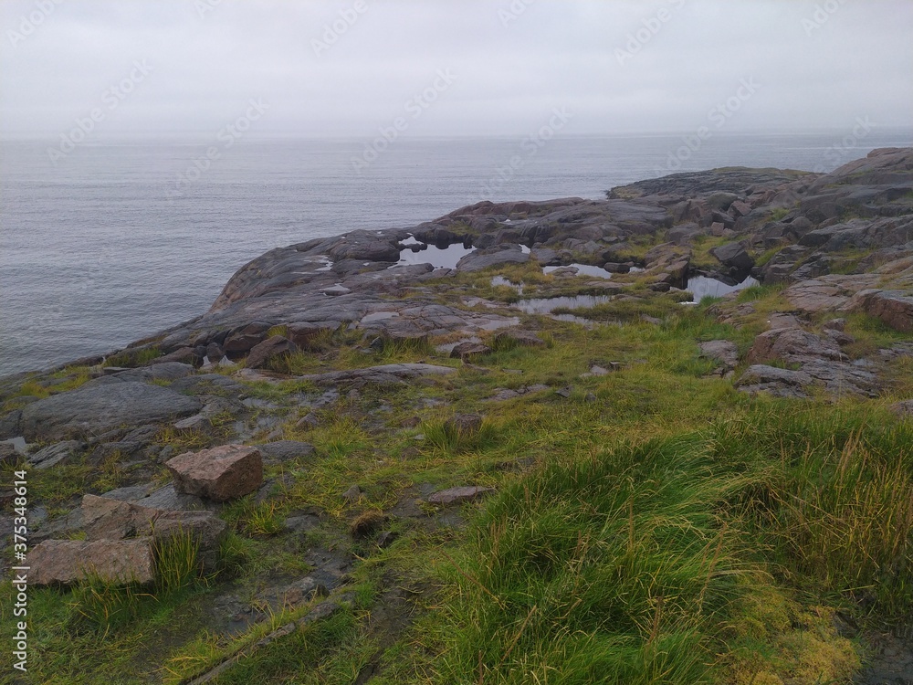 Stone rocky coast of the Arctic ocean in wet weather
