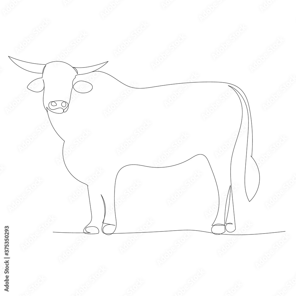 vector, isolated, one line drawing bull, cow vector, isolated, one line drawing bull, cow