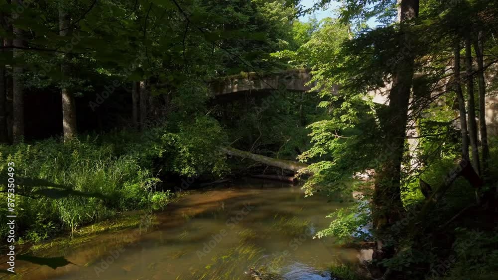 River and bridge in forest