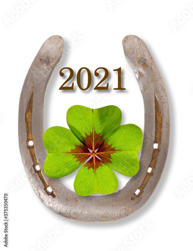 horse shoe with greetings for new year 2021