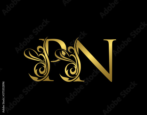 Fényképezés Golden P, N and PN Luxury Letter Logo Icon