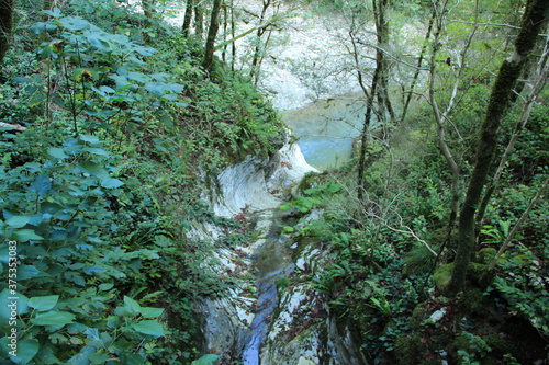 grove