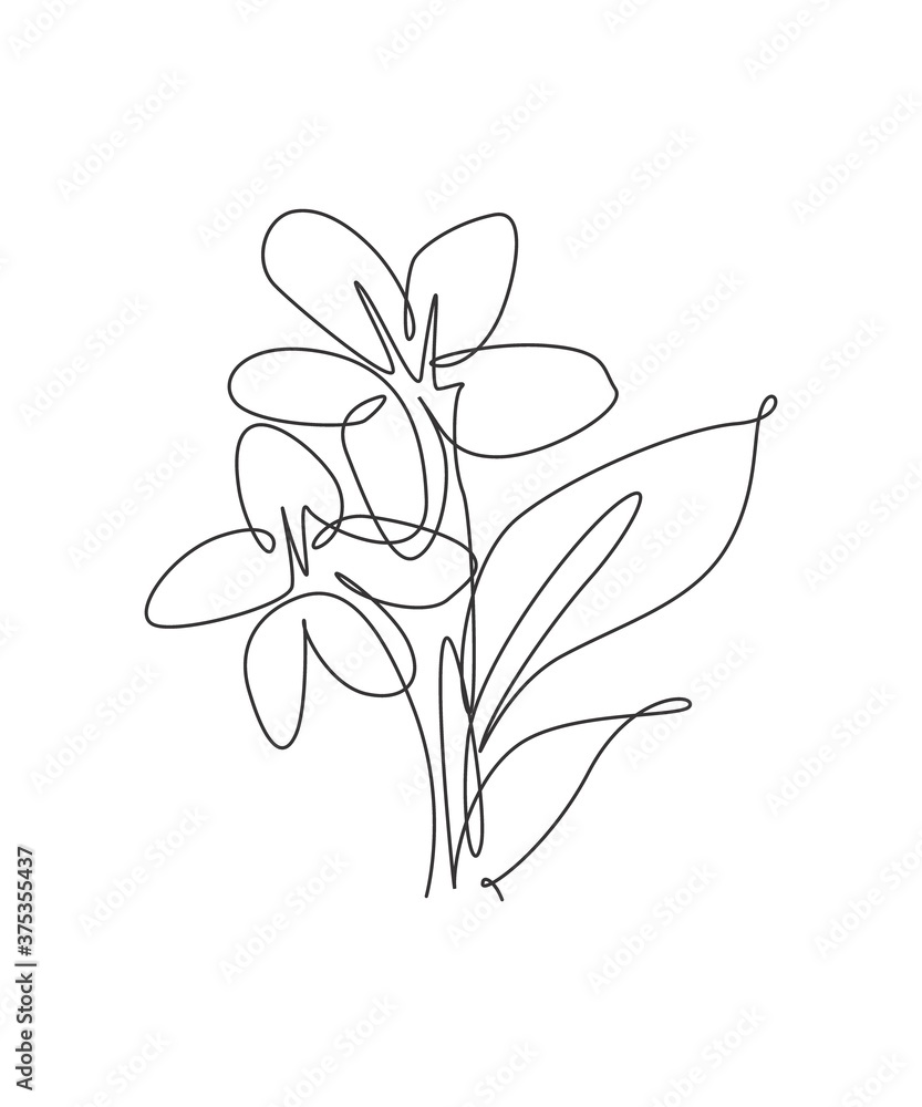 Jasmine Flower Outline Abstract Line Drawing, Flower Drawing, Wing Drawing,  Outline Drawing PNG Transparent Clipart Image and PSD File for Free Download