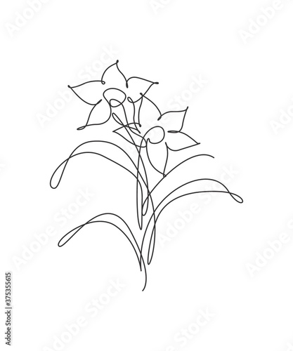 One continuous line drawing beautiful abstract lily flower. Minimal fresh beauty natural concept. Home wall decor, poster, tote bag, fabric print. Single line draw design graphic vector illustration