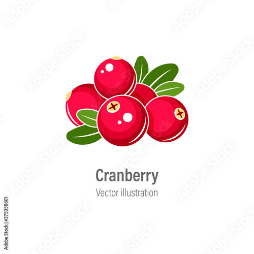 Cranberry vector illustration. Red cranberries with green leaves isolated on white background.