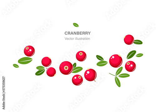 Cranberry vector illustration. Red cranberries with green leaves isolated on white background.