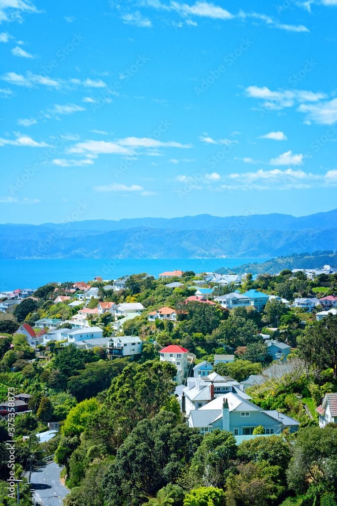 Cosy villas amongst lush green by the side of Wellington Harbour. Gorgeous sunny day on North Island, New Zealand
