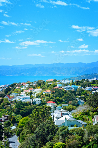 Cosy villas amongst lush green by the side of Wellington Harbour. Gorgeous sunny day on North Island  New Zealand