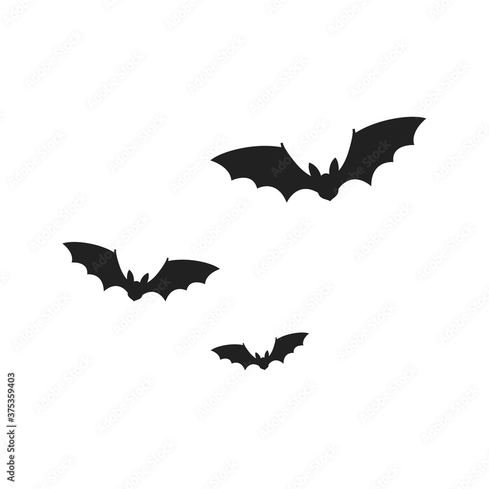 Fototapeta premium Bats isolated on white background