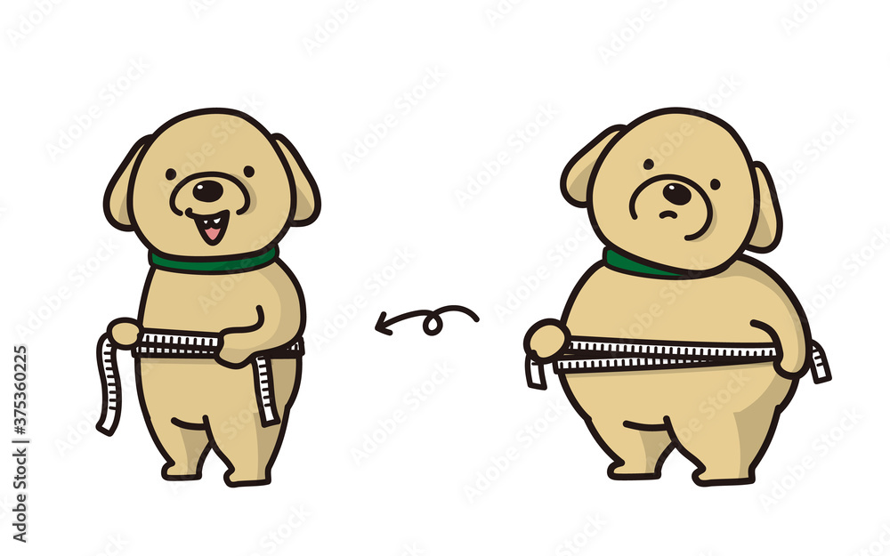 diet dog before and after diet dog before and after