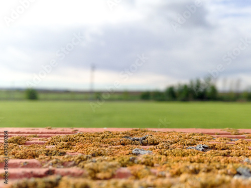 Paisaje campo sembrado en Castilla la Mancha durante un día lluvioso
