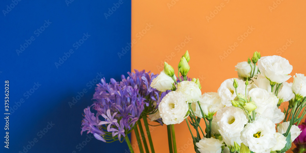 Beautiful white flowers bouquet on cantaloupe orange and classic blue background. Trendy duotone color design background. Banner