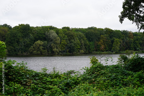 Idyllische  gr  ne Seenlandschaft  Griebnitzsee 