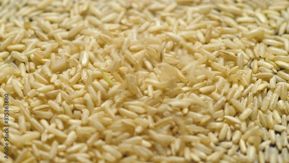 Brown rice grains falling - close-up, slow-motion Brown rice grains falling - close-up, slow-motion
