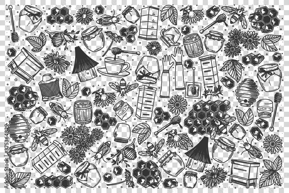 Fototapeta premium Honey doodle set