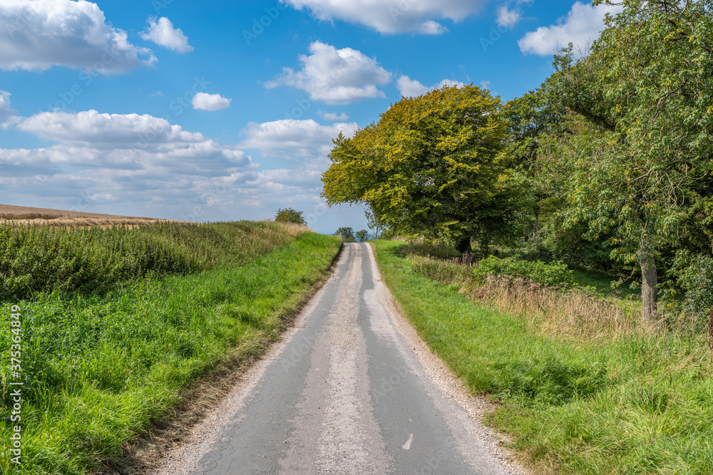 Country Road Leading to Distance