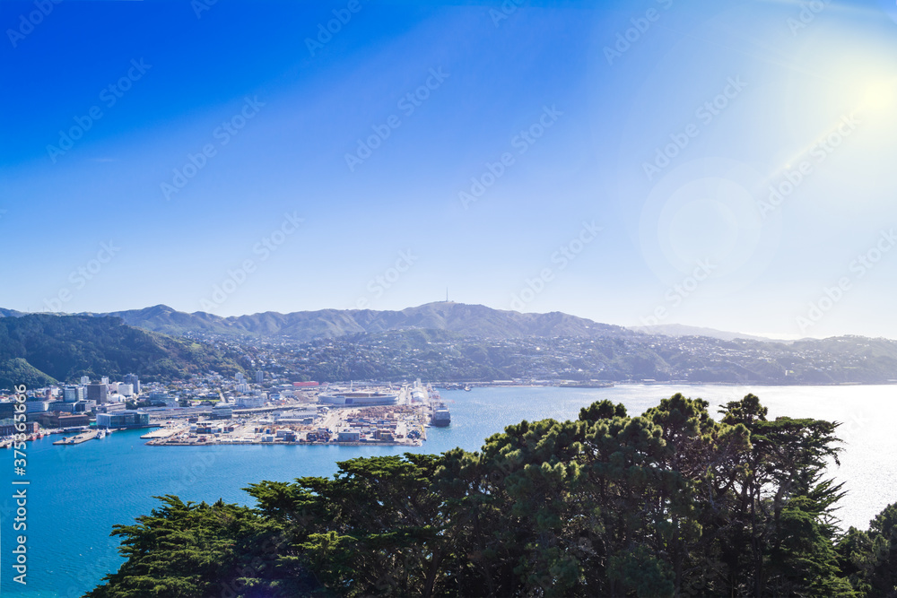 View over Wellington Harbour and Central Business District on a bright summer day.