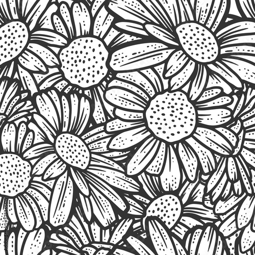 Seamless pattern, chamomile flowers. Sketch scratch board imitation.