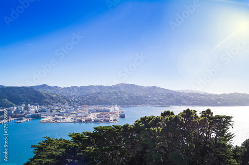 Fototapeta Naklejka Na Ścianę i Meble -  View over Wellington Harbour and Central Business District on a bright summer day.