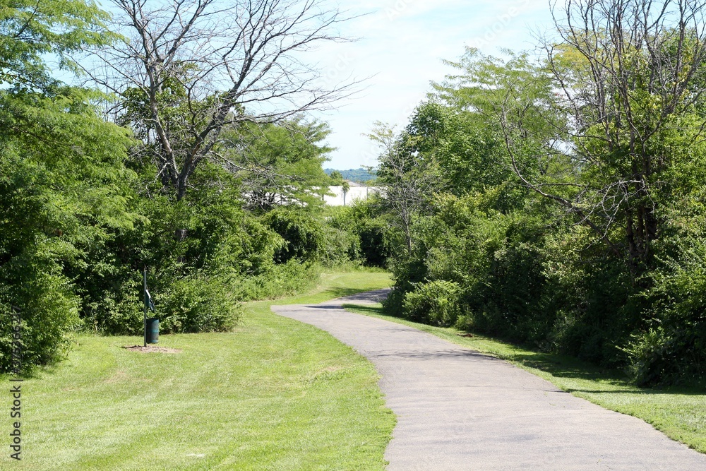 The winding pathway in the park on a sunny day.