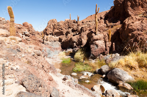 Atacama desert. North of Chile