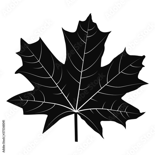 Vector illustration of a black maple leaf on a white background.