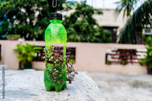 hanging flower pot of plastic bottle, with some phulwari in it, isolated, copy space. A hanging garden. photo