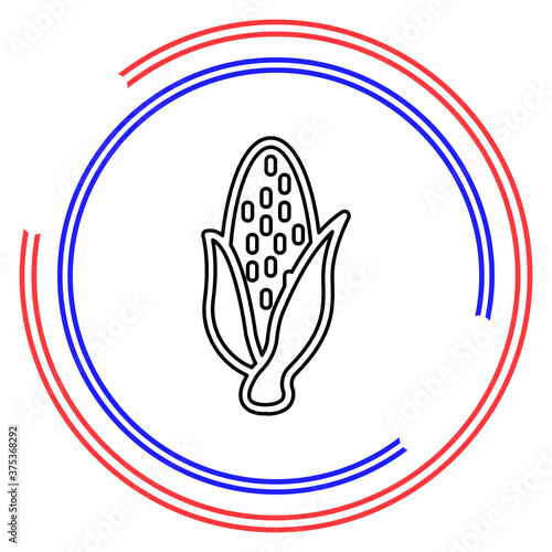 vector sweet corn illustration isolated
