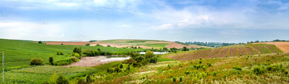 panoramic view of agricultural land from above, picturesque landscapes with sky
