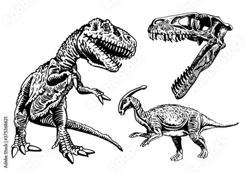 Vector set of dinosaurs isolated on white , elements for printing,graphical illustration