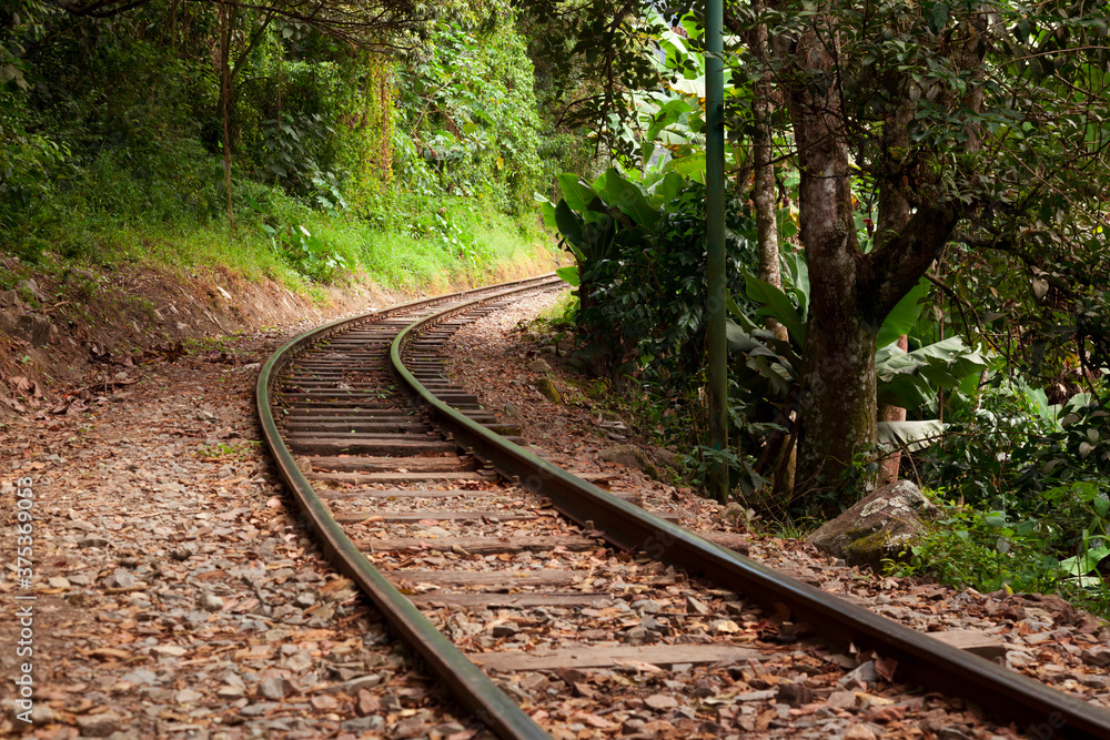 Fototapeta premium Train track