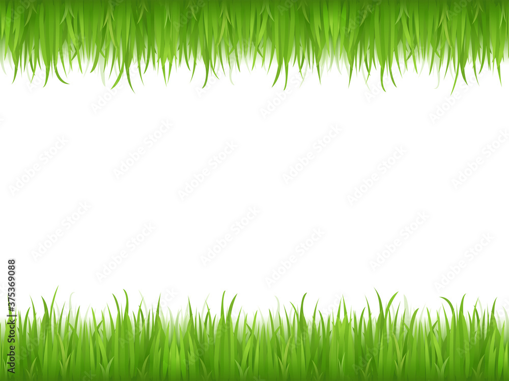 Naklejka light green animation grass herb lawn and fresh bright grass lawn pattern textured on white.