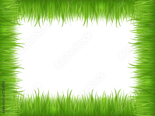 light green animation grass herb lawn and fresh bright grass lawn pattern textured on white.