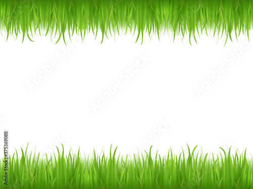 light green animation grass herb lawn and fresh bright grass lawn pattern textured on white.