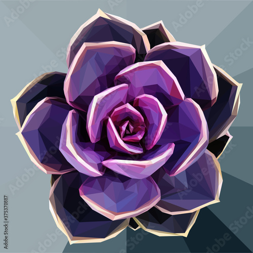 Low poly illustration of a pink succulent on a grey blue background 