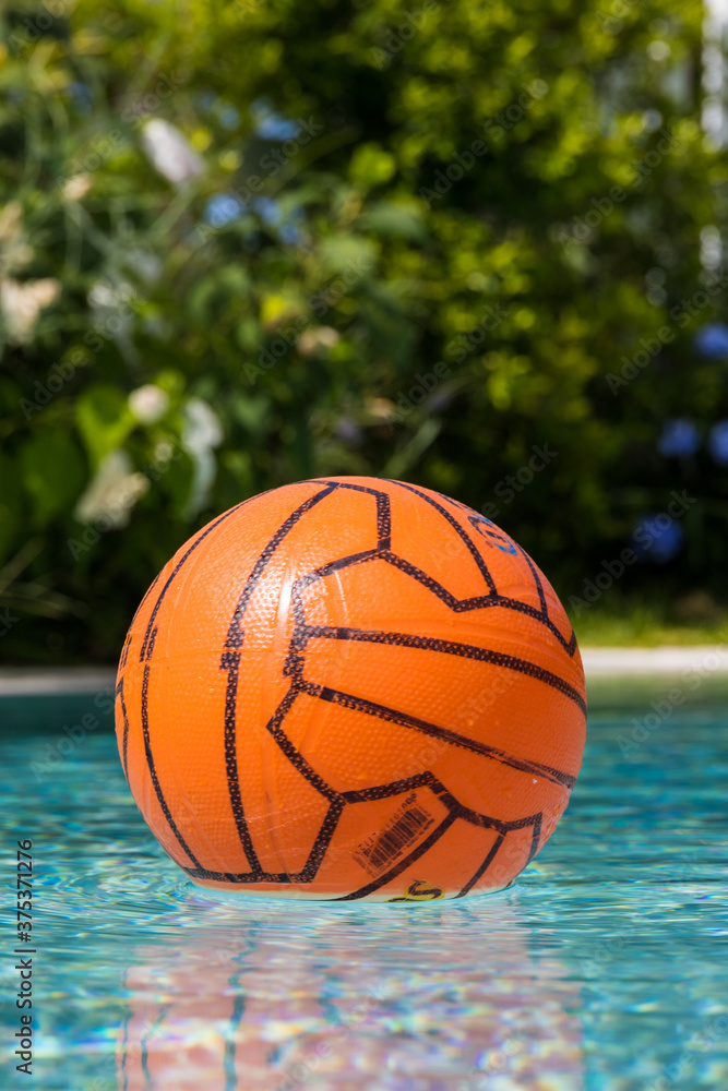 plastic basket or volleball floating in a pool surrounded by vegetation in a warm summer afternoon.