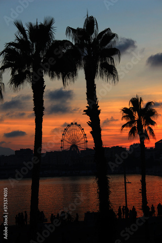 Tropical sunset with palm trees and a Ferris wheel in Malaga (Andalusia, Spain)