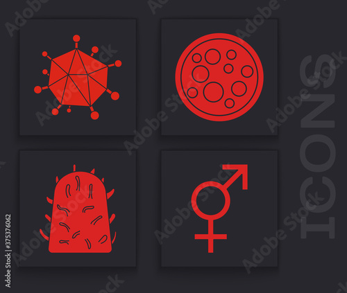 Set Gender, Virus, Virus and Rabies virus icon. Vector.