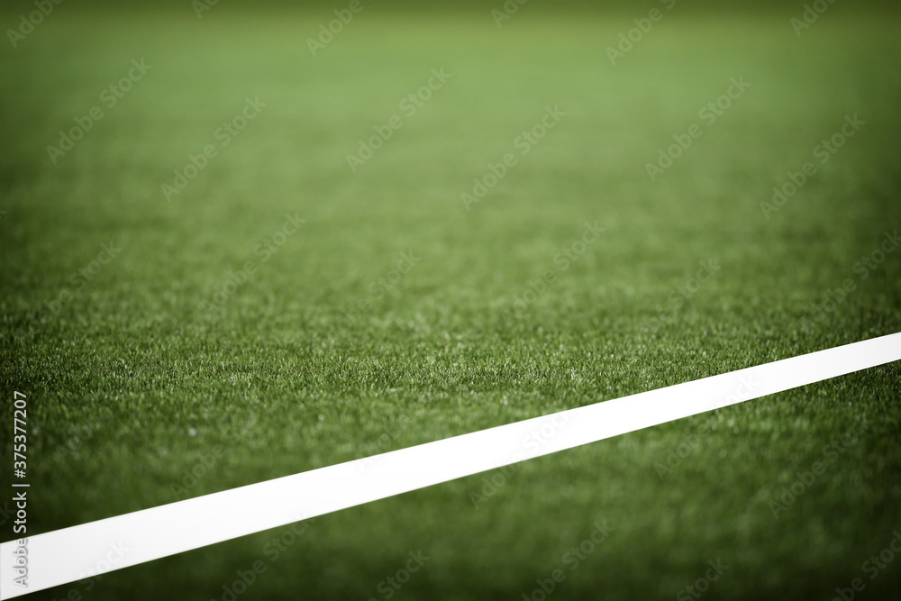 Selective focus of green grasses background with white line. Copy space or blank concept and natural background idea