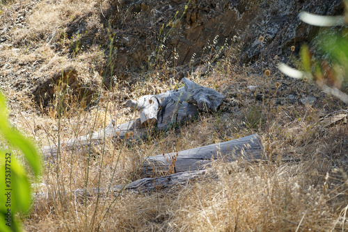 Landscape in Portugal's Alantejo photographed in summer