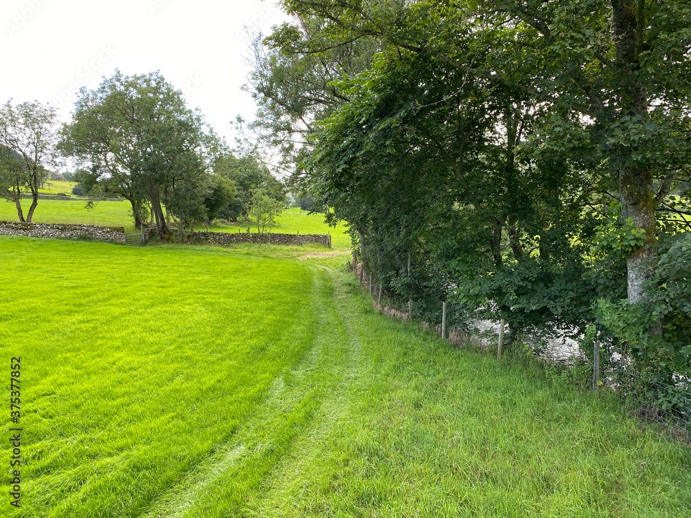 Corner of a meadow, with a track leading to an open gate, with old trees, and long grass on, Bishopdale Lane, Aysgarth