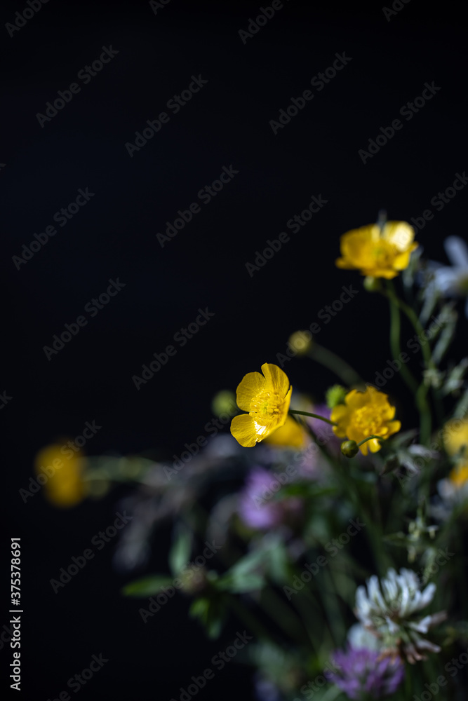 Fototapeta premium Beautiful bouquet of wildflowers. Dark background