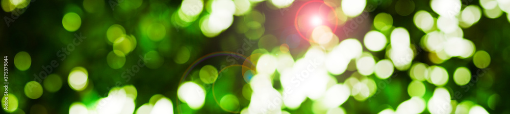 abstract green background with bokeh - obrazy, fototapety, plakaty 