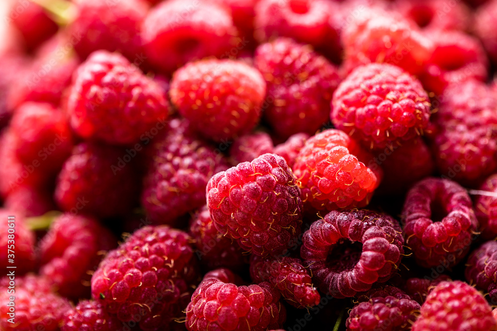 Fresh and sweet red raspberries texture. fruit pile background Fresh and sweet red raspberries texture. fruit pile background