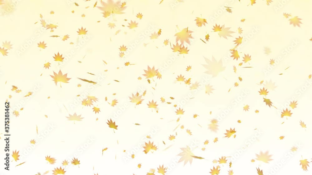 Autumn leaves background Autumn leaves background