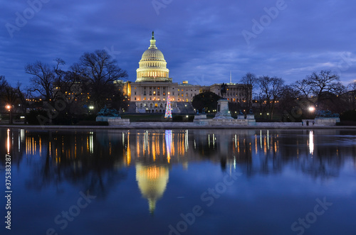United States Capitol Building and traditional Christmas Tree in capitol Grounds at night - Washington D.C. United States of America