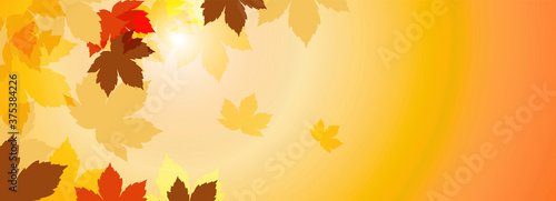 sfondo, banner, autunno