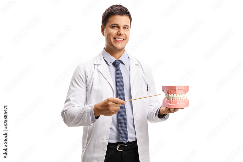 Young male dentist holding a jaw model and pointing with a stick